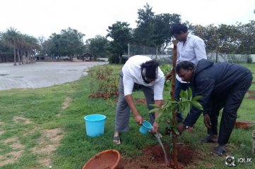 Rana At Haritha Haaram Event